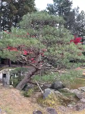 輪王寺(宮城県)