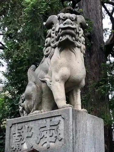 下神明天祖神社の狛犬