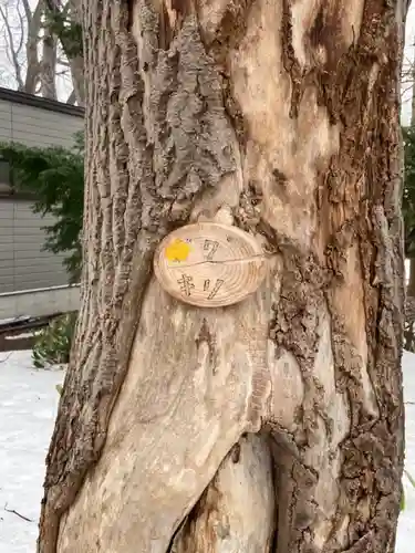 新琴似神社(北海道)
