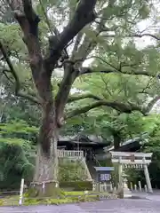 事任八幡宮の景色