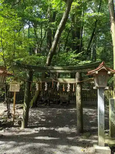 椿大神社の鳥居