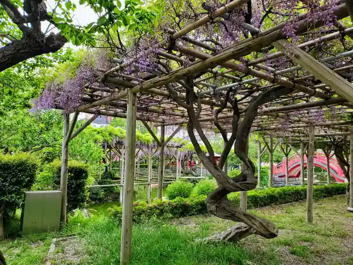亀戸天神社(東京都)