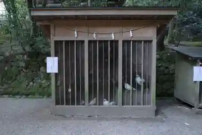 石上神宮(奈良県)