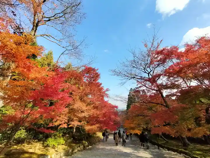 二尊院(京都府)