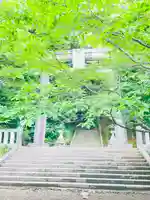 菊池神社(熊本県)