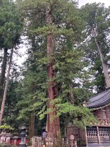 日光東照宮(栃木県)