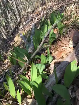 旭岱大山神社(北海道)