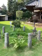 尉殿神社の庭園