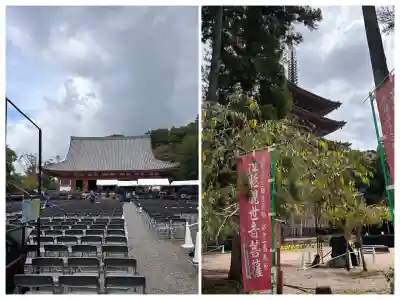 醍醐寺(京都府)