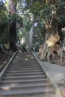 日吉神社(千葉県)