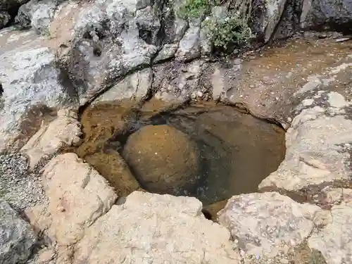 大御神社の自然