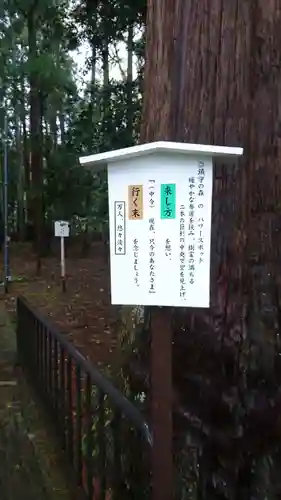 若狭彦神社（上社）の歴史