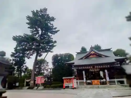 中野沼袋氷川神社(東京都)
