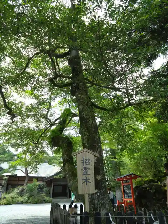 霧島神宮(鹿児島県)