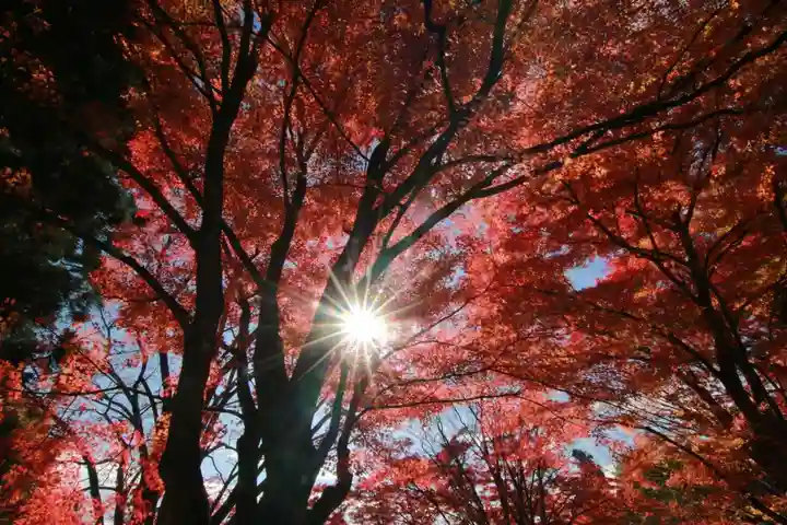 土津神社|こどもと出世の神さまの自然