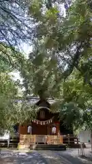 氷川女體神社(埼玉県)