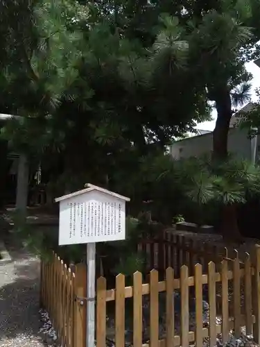 安久美神戸神明社の自然