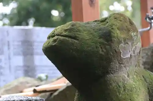 阿久津「田村神社」（郡山市阿久津町）旧社名：伊豆箱根三嶋三社の狛犬