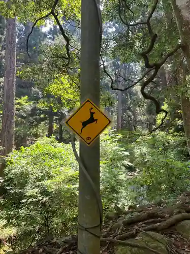 最乗寺（道了尊）(神奈川県)