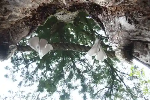 丹生川上神社（中社）(奈良県)