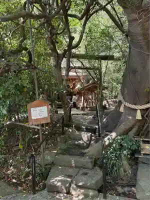 八大龍王水神(宮崎県)