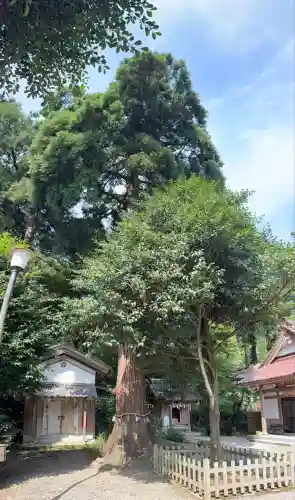 劒神社(福井県)