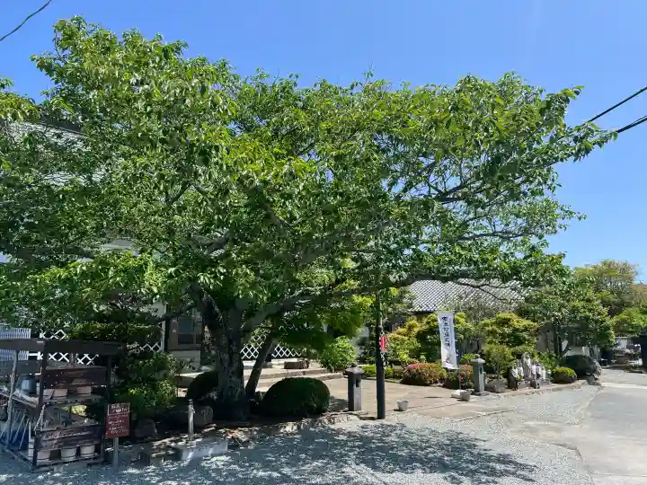 興仁寺(福島県)