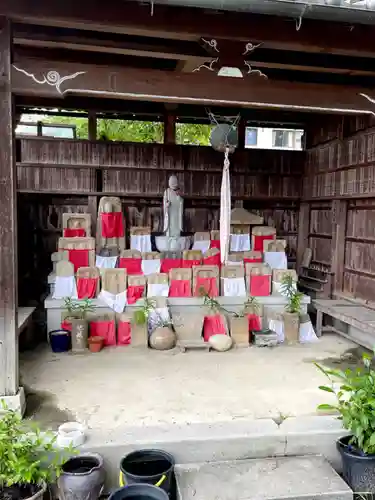 般若寺 ❁﻿コスモス寺❁(奈良県)