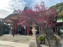 品川神社の自然