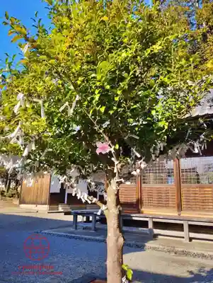 立志神社(滋賀県)