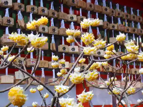 荏柄天神社の自然
