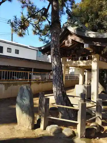 柴又八幡神社の自然