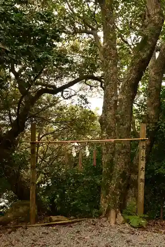 粟嶋神社(鳥取県)