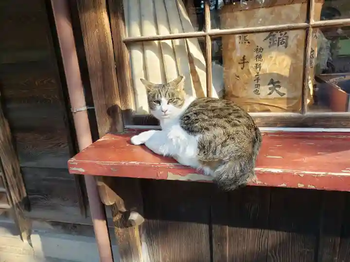 雀神社の動物