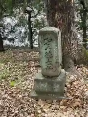 眞照寺(東京都)