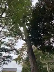 稲生神社(千葉県)