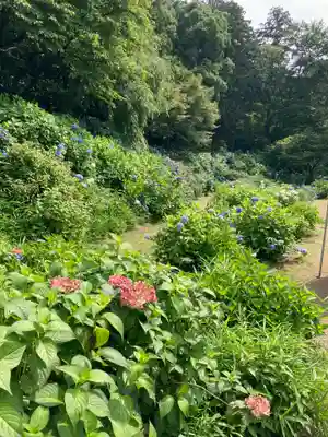 大宝八幡宮(茨城県)