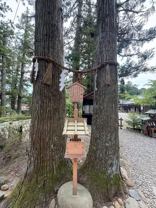 大崎八幡宮(宮城県)