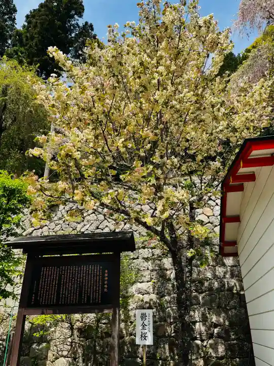 金櫻神社の{uncategorized: "未分類", other: "その他", undefined: "問題あり", building: "その他建物", grave: "お墓", sacred_gate: "鳥居", guardian: "狛犬", statue: "像", buddha: "仏像", history: "歴史", nature: "自然", garden: "庭園", animal: "動物", pagoda: "塔", temizu: "手水舎", mountain_gate: "山門・神門", sanctuary: "本殿・本堂", subordinate: "末社・摂社", art: "芸術", scenery: "景色", jizo: "地蔵", ema: "絵馬", goshuin: "御朱印", omikuji: "おみくじ", items: "授与品その他", amulet: "お守り", goshuincho: "御朱印帳", eats: "食事", festival: "お祭り", votive_dance: "神楽", shichigosan: "七五三参", wedding: "結婚式", experience: "体験その他", initially: "初詣", around: "周辺", anti_infection: "感染症対策"}
