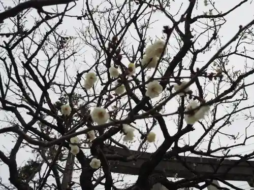 隅田川神社の自然