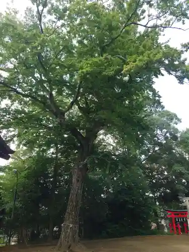 久我山稲荷神社(東京都)
