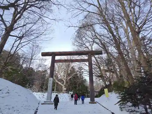北海道神宮の鳥居