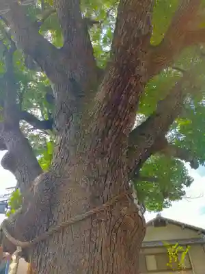 阿保神社(大阪府)