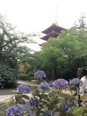 高幡不動尊　金剛寺のその他建物