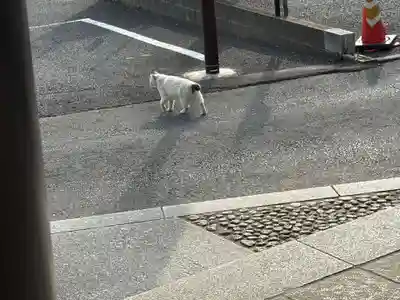 柏諏訪神社(千葉県)