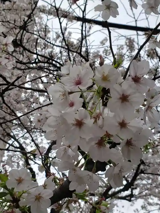 秋葉神社(東京都)