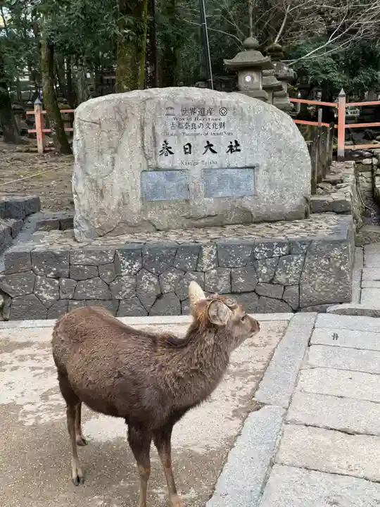 春日大社(奈良県)