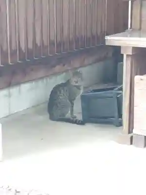 蘇我比咩神社(千葉県)