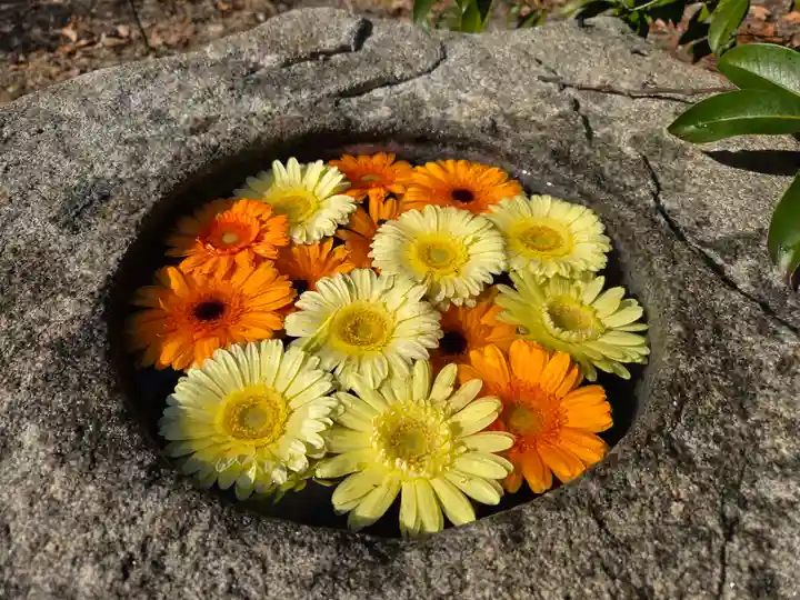 彌都加伎神社(三重県)