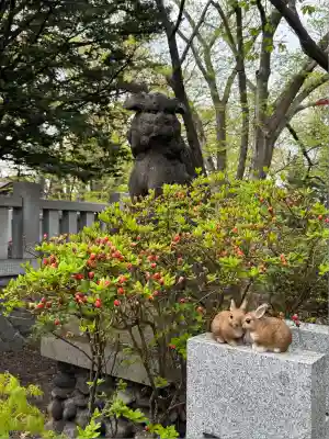 彌彦神社　(伊夜日子神社)の狛犬